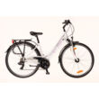 Kép 1/2 - Kerékpár Neuzer Trekking Ravenna 100 női fehér/lila- szürke 19